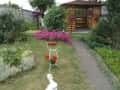 1 ogrody (87)