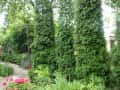 16-Skoki-ul.-Głowackiego-I-12