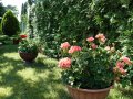 21-Rejowiec-I-18