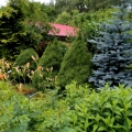 Antoniewo  (9)