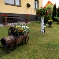 Rejowiec III (10)