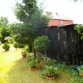 Rościńska (8)