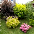 ul. Poprzeczna (8)