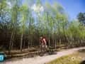 duathlon (256)