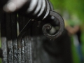 10fotografia (7)