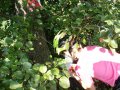 DSC02634