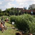 piknik (21)