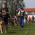 wystawa owczarkow niemieckich (53)