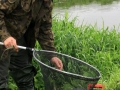 warta (11)