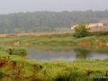 warta (2)