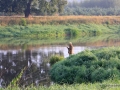 warta (3)