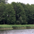 Zawody Wędkarskie (28)