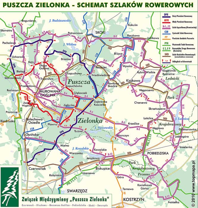 Schemat szlaków rowerowych w Puszczy Zielonka