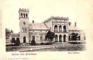 Pałac w Skokach - 1900