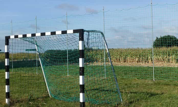 jablkowo-pilkochwyt-2