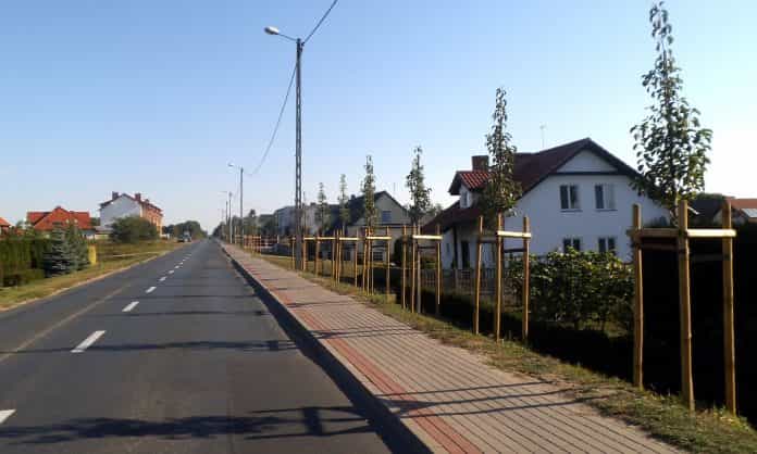 drzewa miododajne (2)-001