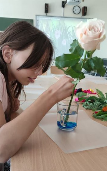 biała róża w szklance wody na stole obok dziewczynka