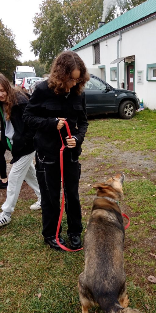 Wolontariusze ze Szkoły Podstawowej w Skokach w schronisku dla zwierząt "Cywil" w Rybowie