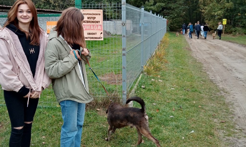 Wolontariusze ze Szkoły Podstawowej w Skokach w schronisku dla zwierząt " Cywil" w Rybowie