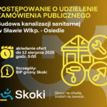 grafika informacyjna