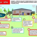 Uwaga! Komunikat Powiatowego Lekarza Weterynarii – ptasia grypa w Wągrowcu