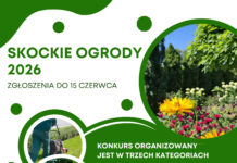 Pokaż nam swój ogród – ruszają zgłoszenia do tegorocznej edycji skockich ogrodów