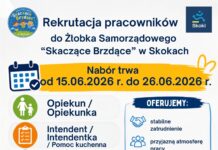 Praca w żłobku samorządowym w Skokach